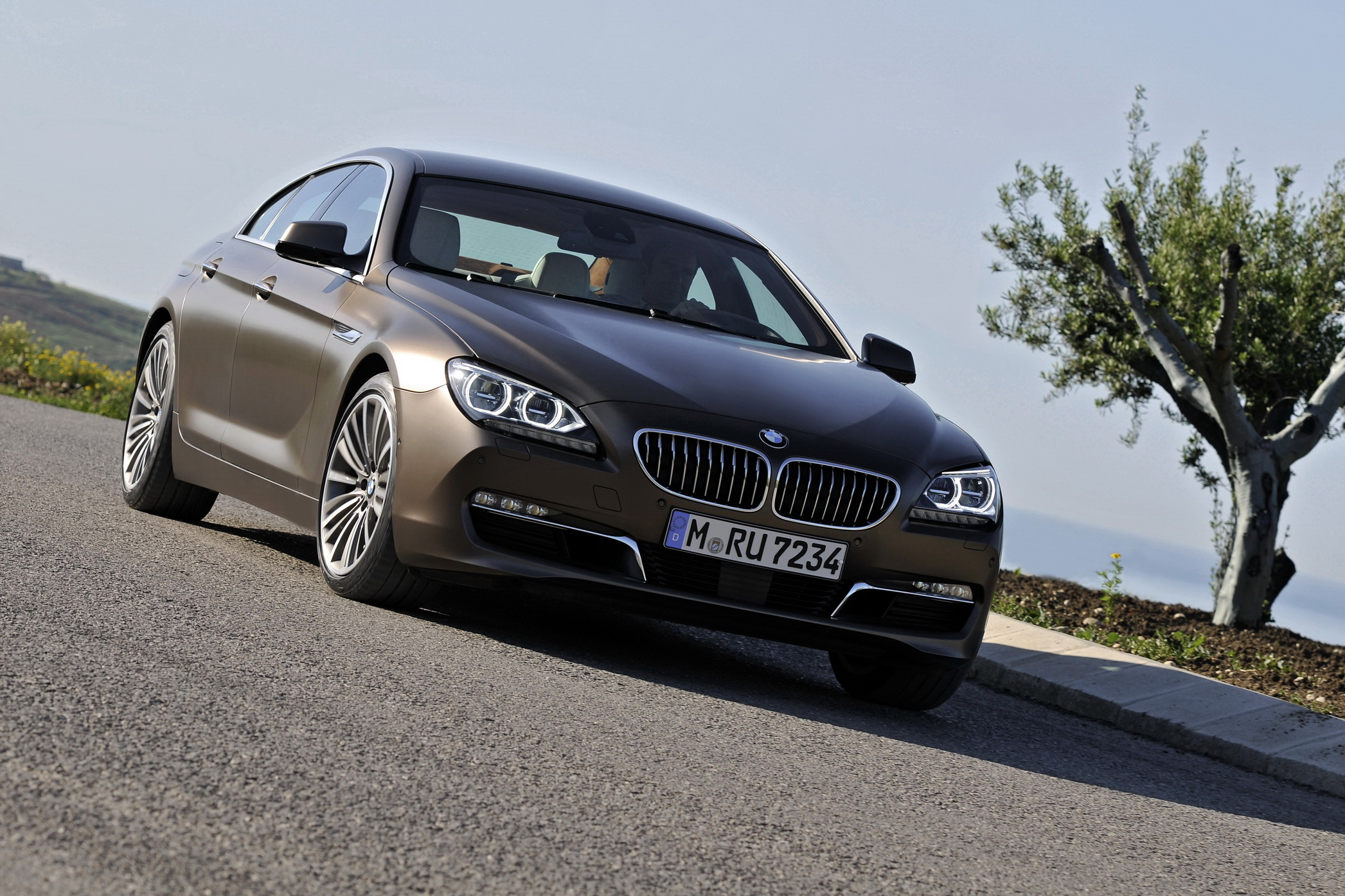 bmw-6-gran-coupe-galerija