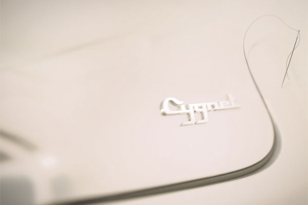 2011-aston-martin-cygnet