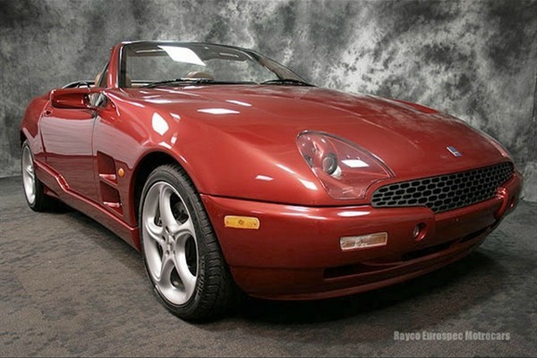 jeftina-i-egzoticna-qvale-mangusta