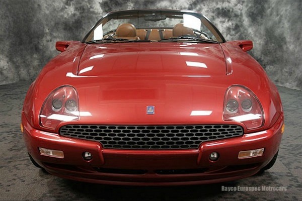 jeftina-i-egzoticna-qvale-mangusta