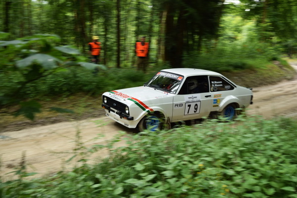 goodwood-rally-stage-galerija-legendi-i-novih-modela