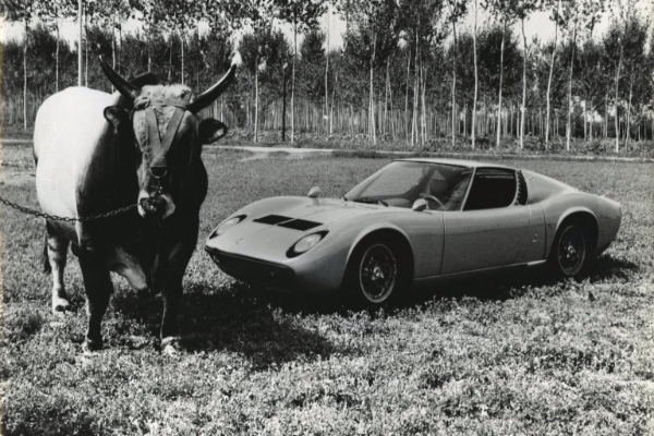 pedeseti-rodjendan-legendarnog-modela-lamborghini-miura