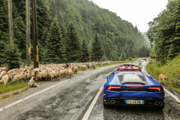 veliki-evropski-karavan-lamborghini-modela-