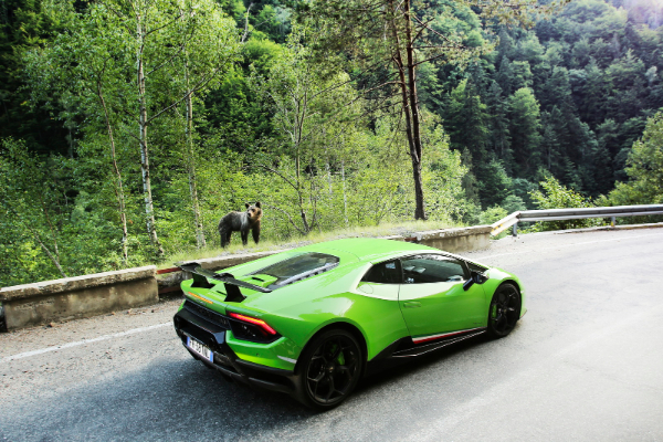 veliki-evropski-karavan-lamborghini-modela-