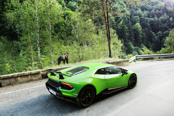 veliki-evropski-karavan-lamborghini-modela-