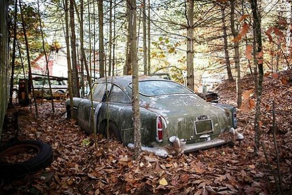 Pravo blago autoindustrije izgubljeno u šumi