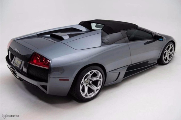 lamborghini-murcielago-retka-zverka-izumrle-vrste-2